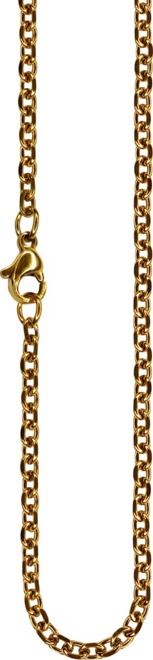 CORRENTE AÇO INOX DOURADA 316L 58CM